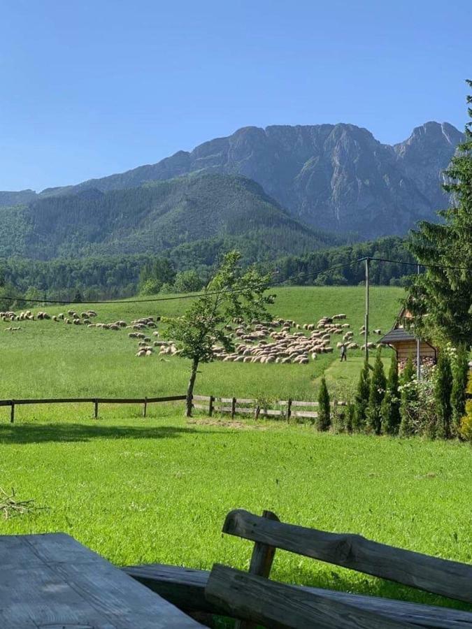 Bacowka Na Bundowkach Apartment Zakopane Bagian luar foto